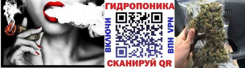 omg ссылка  закладки  Новоалтайск  Канабис MAZAR 